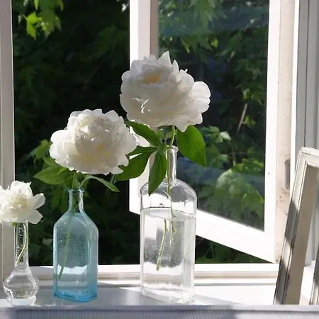 1810 Historical Charming In Tammisaari Center Villa