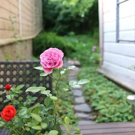 Villa 1810 Historical Charming In Tammisaari Center Raseborg